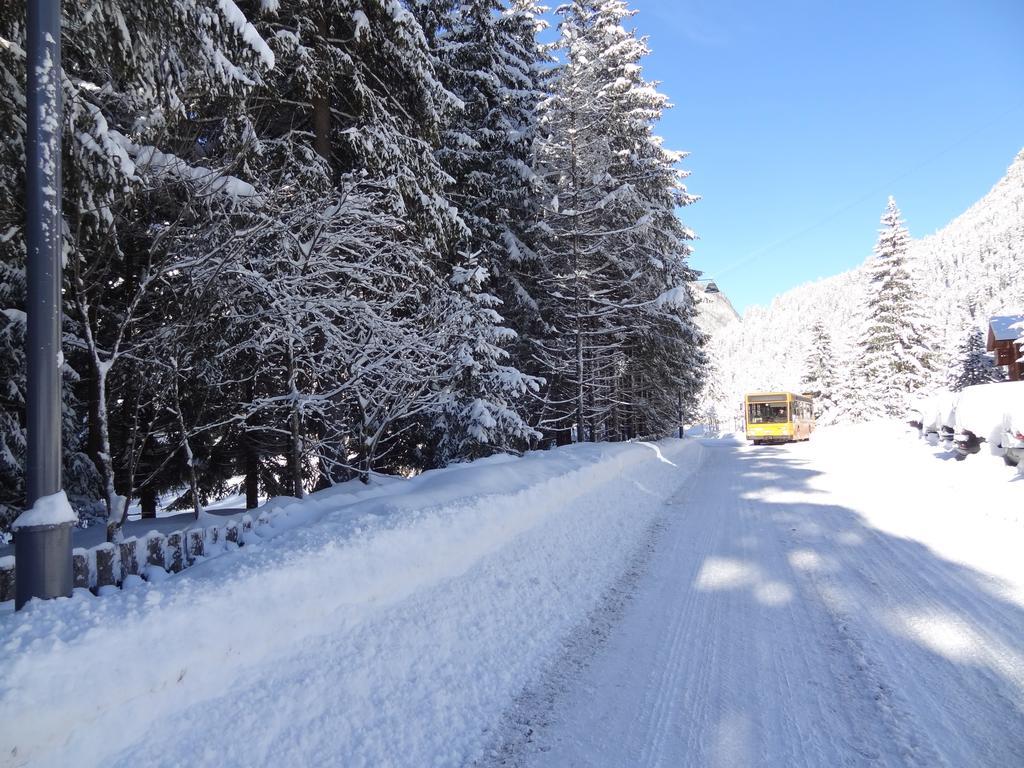 Chalet Pineta Relax Location 까나제이 외부 사진